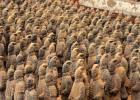 Xian's Terra Cotta Warriors Xian's Terra Cotta Warriors