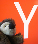 Y Combinator Grads: Founders’ Stories Image - Y Combinator Grads: Founders’ Stories