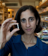 Tejal Desai: Micro- and Nanotechnologies for Therapeutic Delivery Image - Tejal Desai: Micro- and Nanotechnologies for Therapeutic Delivery