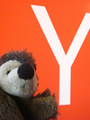 Image - Y Combinator Grads: Founders’ Stories