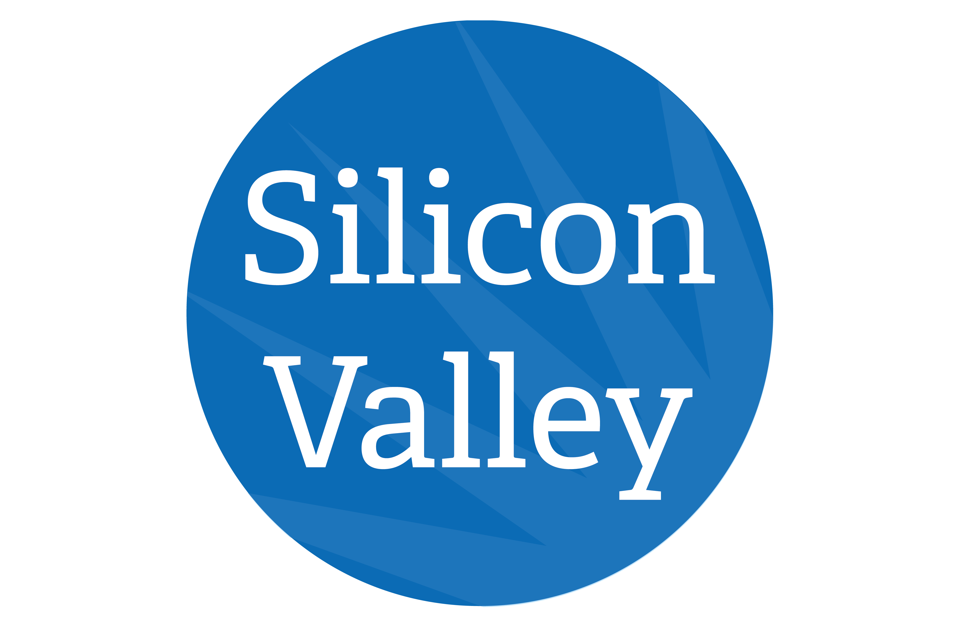 Silicon Valley Programs